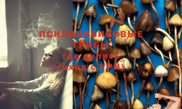 круглые Алексин