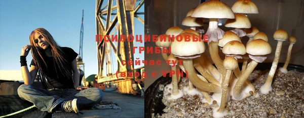 круглые Алексин